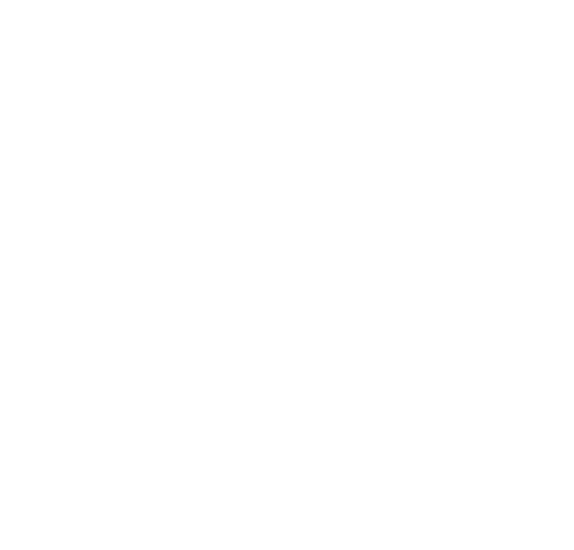 Somi Consultancy